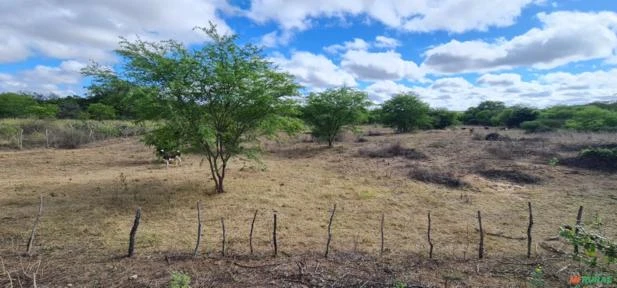 Fazenda em Monteiro-PB medindo 180 hectares