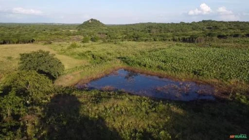 Sítio em Monteiro medindo 16,00 hectares