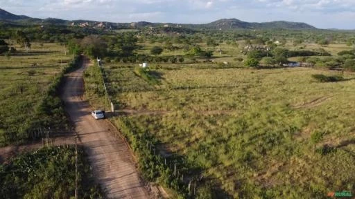 Sítio em Monteiro medindo 16,00 hectares