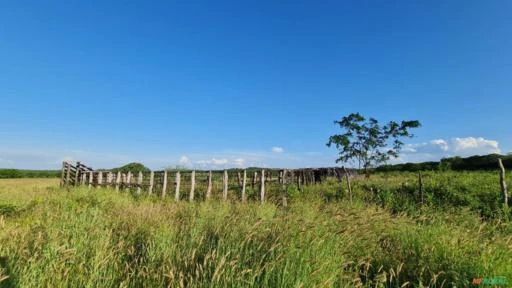 Sítio em Monteiro medindo 16,00 hectares