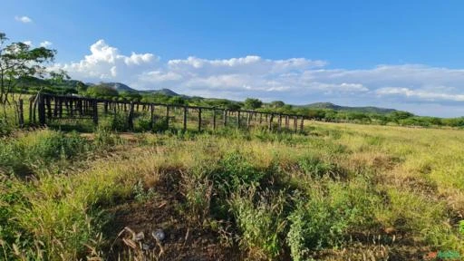 Sítio em Monteiro medindo 16,00 hectares