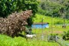 Fazenda Pé da Serra Claudio