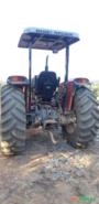 Trator Massey Ferguson 275 4x4 ano 17 Imagem Trator Massey Ferguson 275 4x4 ano 17