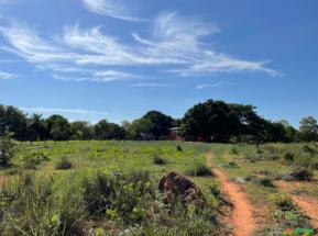 Fazenda em Tocantins - Oportunidade de negócio