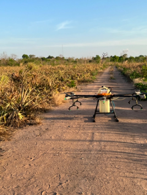 Pulverização aérea via drone Imagem Pulverização aérea via drone