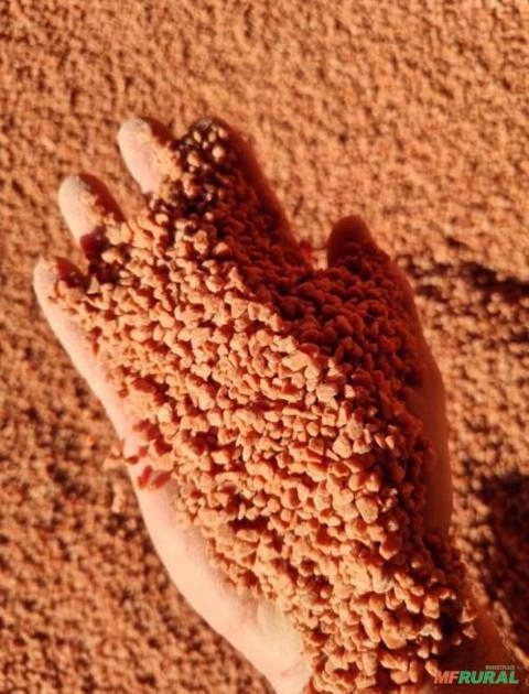 KCL 60% Granulado vermelho Imagem KCL 60% Granulado vermelho