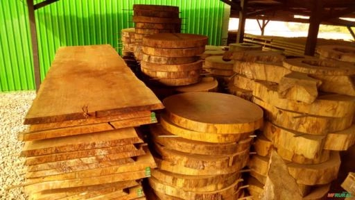 GARAPEIRA BRUTA SERRADA EM PRANCHA Imagem GARAPEIRA BRUTA SERRADA EM PRANCHA