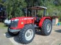 Trator Massey Ferguson MF 4307 P 1538 horas Ano 2022 Imagem Trator Massey Ferguson MF 4307 P 1538 horas Ano 2022
