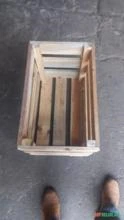 Caixa de madeira para repolhos