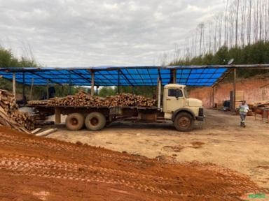 Caminhão Mercedes Benz 1113 Imagem Caminhão Mercedes Benz 1113