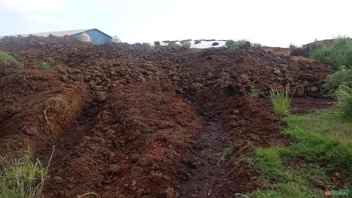 Cama de compost barn Imagem Cama de compost barn