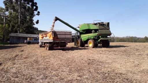 Serviços de Colheita Imagem Serviços de Colheita