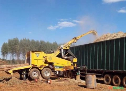 Picador florestal para alugar Imagem Picador florestal para alugar