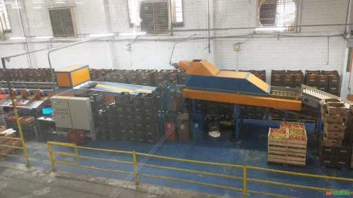 Imagem Classificadora Automatizada para Tomates / Limão / Laranjas Imagem Classificadora Automatizada para Tomates / Limão / Laranjas