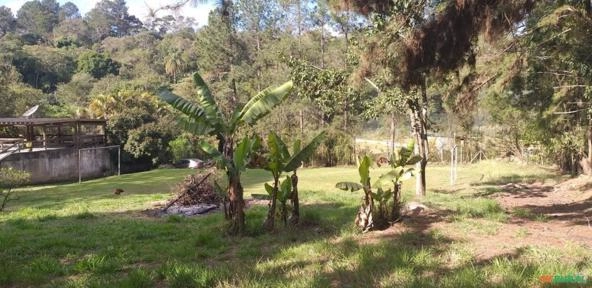 Material Organico para agricultura Imagem Material Organico para agricultura