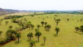 Fazenda Linda em Campina Verde MG