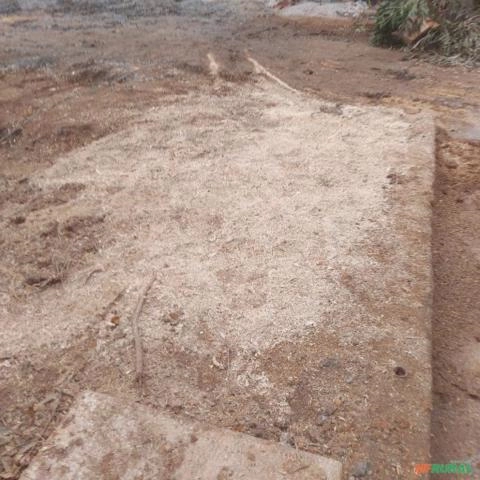 Imagem Destoca de Tocos e Raízes Imagem Destoca de Tocos e Raízes