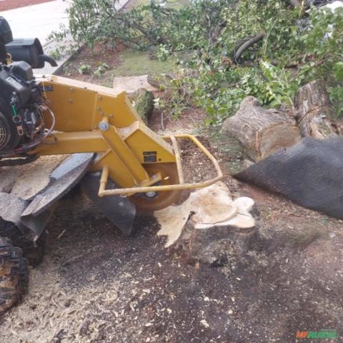 Imagem Destoca de Tocos e Raízes Imagem Destoca de Tocos e Raízes