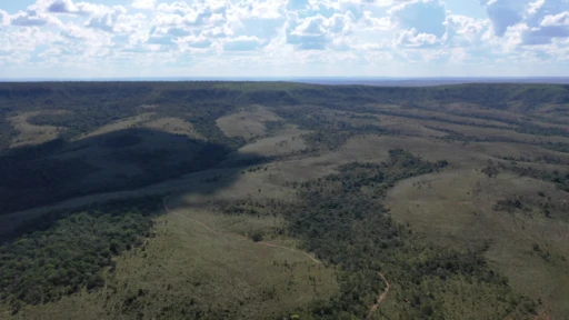 Fazenda com 1.250 ha em Morada Nova de Minas - MG