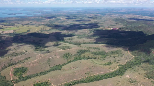 Fazenda com 1.250 ha em Morada Nova de Minas - MG