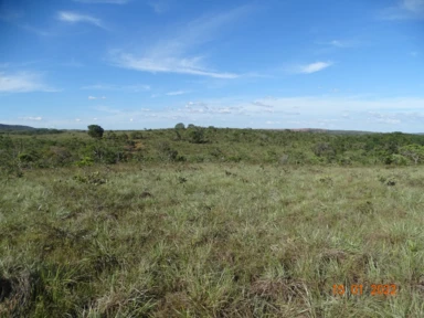 Fazenda com 1.250 ha em Morada Nova de Minas - MG