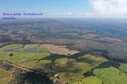 Fazenda com 1.250 ha em Morada Nova de Minas - MG