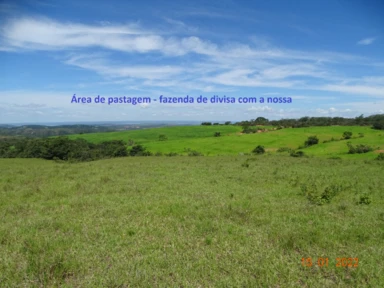 Fazenda com 1.250 ha em Morada Nova de Minas - MG