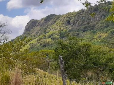 Terreno 3 hectares na serra Palmácia-CE, perto de Pacoti e Guaramiranga