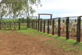 Fazenda plana no Oeste da Bahia