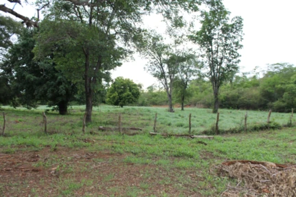 Fazenda plana no Oeste da Bahia