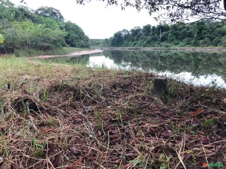 Vendo 290.000m² n Avenida principal de acesso a praia do Açutuba localizada Iranduba Amazonas