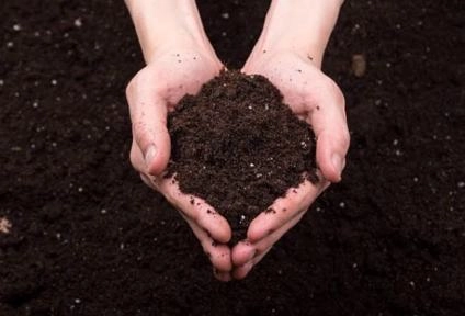 Imagem Composto orgânico Imagem Composto orgânico