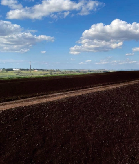 Imagem Composto orgânico Imagem Composto orgânico