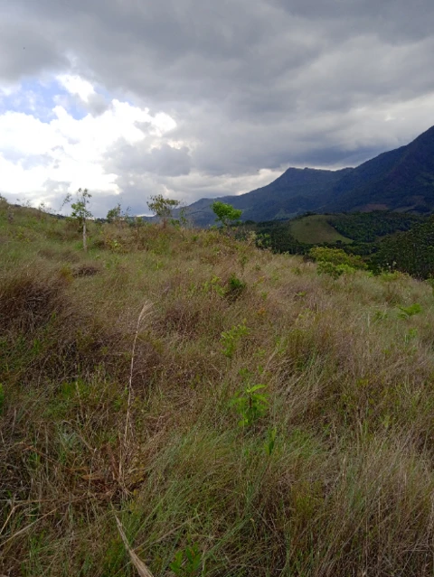 Terreno com 3850m2 em Aiuruoca-MG