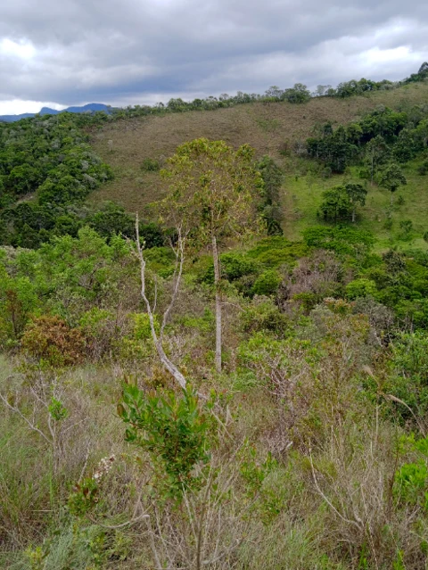 Terreno com 3850m2 em Aiuruoca-MG