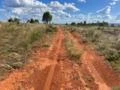 Fazenda 3.200HA de Eucalipto em destoa a 40 km da cidade Município de Bocaíuva MG com represa