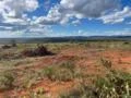 Fazenda 3.200HA de Eucalipto em destoa a 40 km da cidade Município de Bocaíuva MG com represa