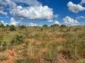 Fazenda 3.200HA de Eucalipto em destoa a 40 km da cidade Município de Bocaíuva MG com represa