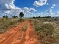 Fazenda 3.200HA de Eucalipto em destoa a 40 km da cidade Município de Bocaíuva MG com represa