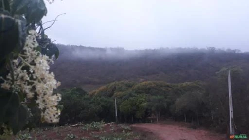 FAZENDA NA CHAPADA DIAMANTINA - BAHIA