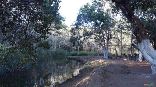 FAZENDA NA CHAPADA DIAMANTINA - BAHIA