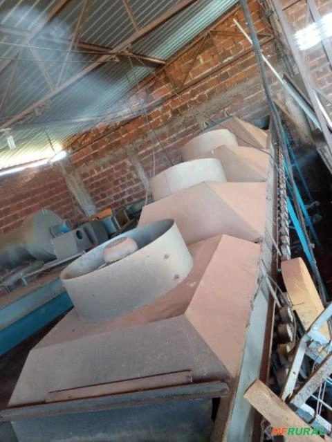 Maquina de beneficiamento e classificação de citros Imagem Maquina de beneficiamento e classificação de citros