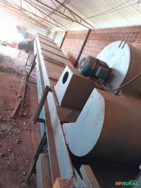 Imagem Maquina de beneficiamento e classificação de citros Imagem Maquina de beneficiamento e classificação de citros