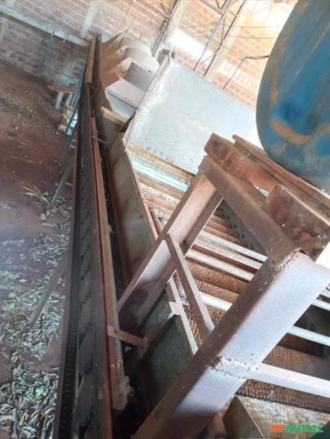 Imagem Maquina de beneficiamento e classificação de citros Imagem Maquina de beneficiamento e classificação de citros