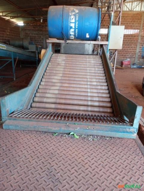 Imagem Maquina de beneficiamento e classificação de citros Imagem Maquina de beneficiamento e classificação de citros