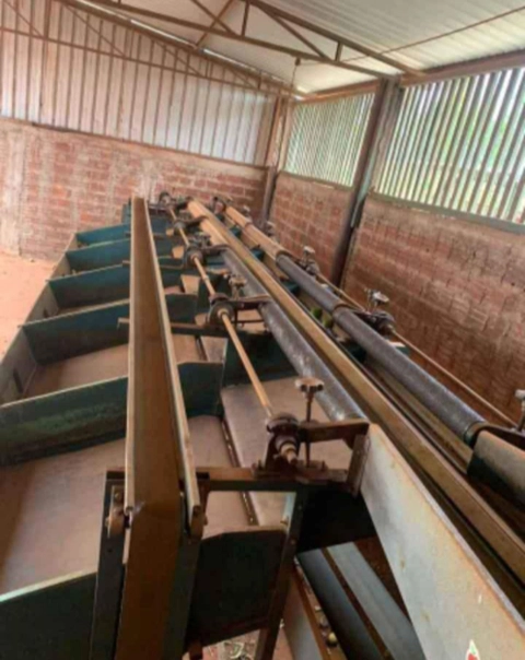 Imagem Maquina de beneficiamento e classificação de citros Imagem Maquina de beneficiamento e classificação de citros