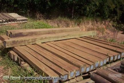 Eucaliptos Tratados Imagem Eucaliptos Tratados