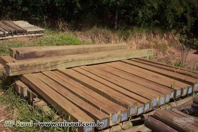 Eucaliptos Tratados Imagem Eucaliptos Tratados