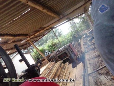 Madeira de Eucalipto Serrada Imagem Madeira de Eucalipto Serrada