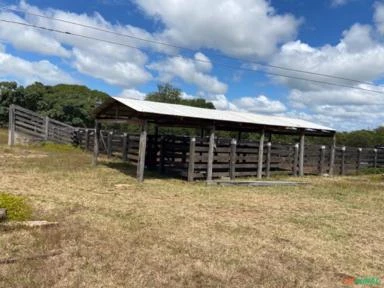 Fazenda para Plantio ou criação de Gado - Arrendamento ou venda